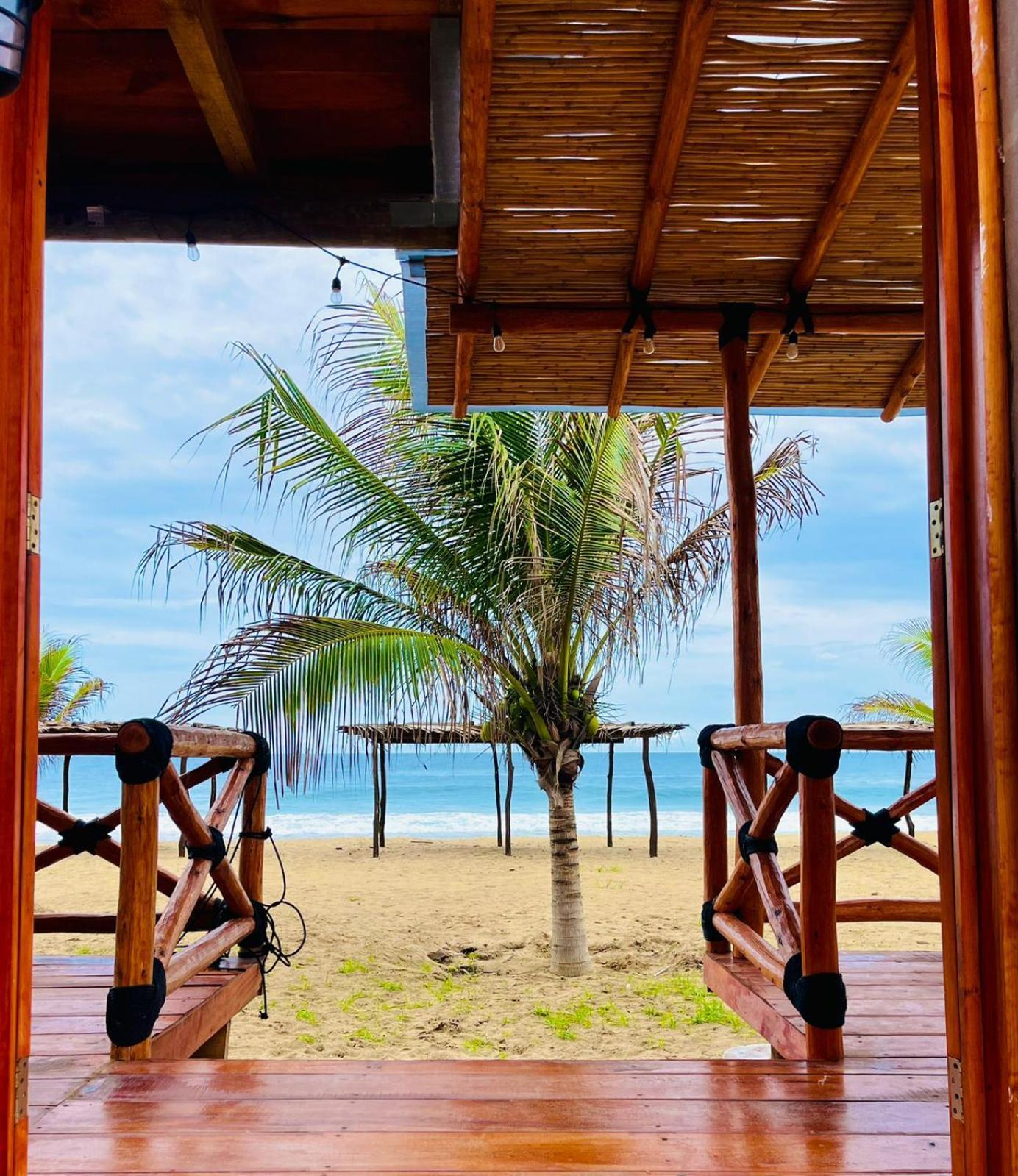 Villa Coco Mare Suite 1 Coyuca de Benitez Exteriör bild